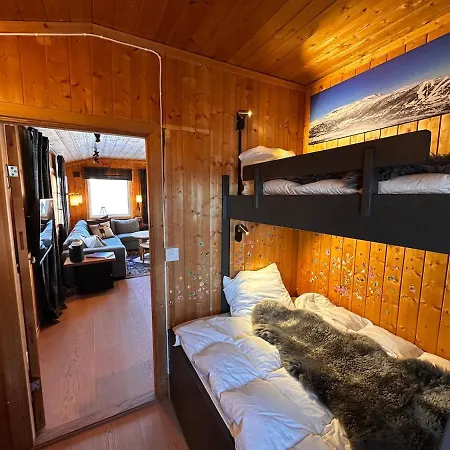 Geilo! Enjoy The Mountain Air From A Cozy With A View Feriehus Hol (Buskerud)