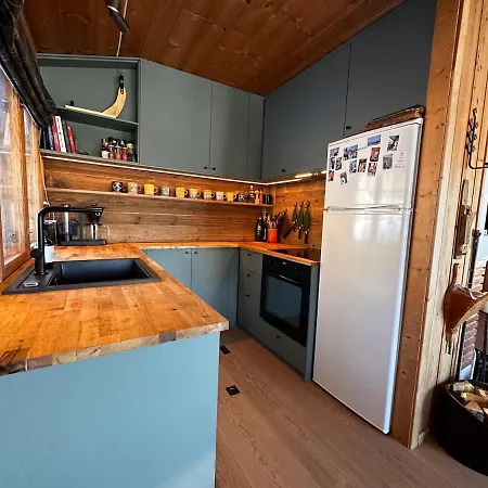 Geilo! Enjoy The Mountain Air From A Cozy With A View Feriehus Hol (Buskerud)